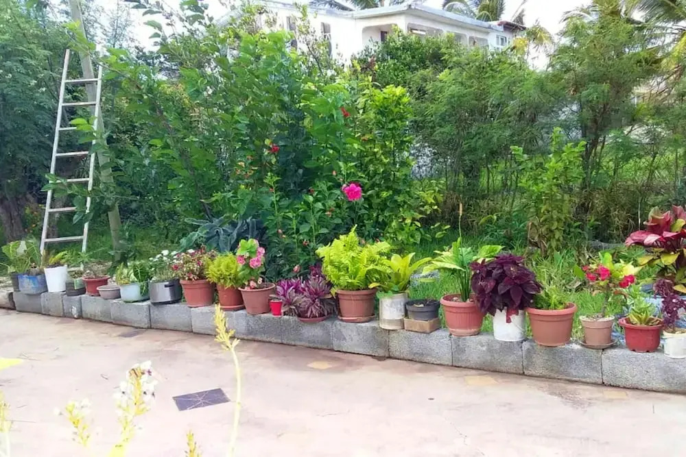 House with 3 Bedrooms in Anse Quitor , with Wonderful Sea View And Furnished Terrace