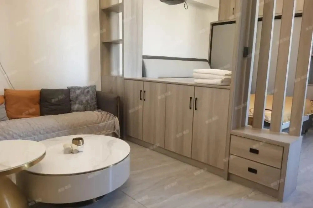 Central Apartment