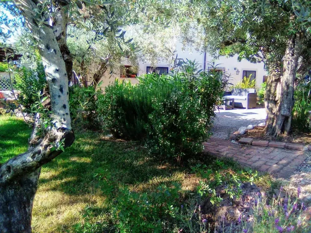 B&B Valverde