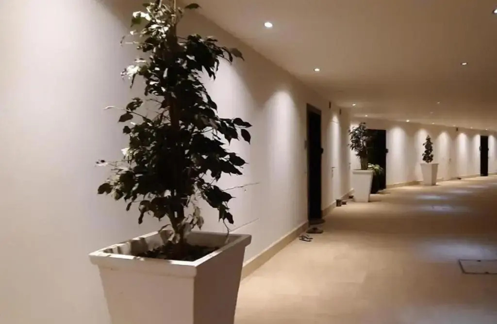 The Elysian Suite