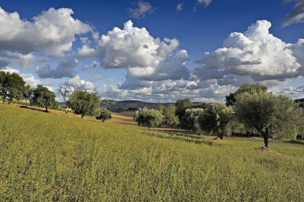 Agriturismo Il Gelso Antico