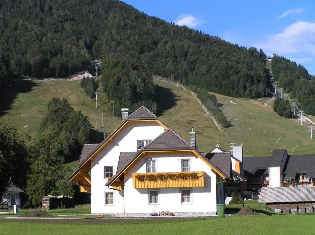 Apartmaji Mlinar