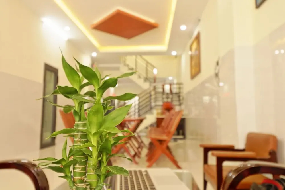 Gold Stone Hoi An Homestay