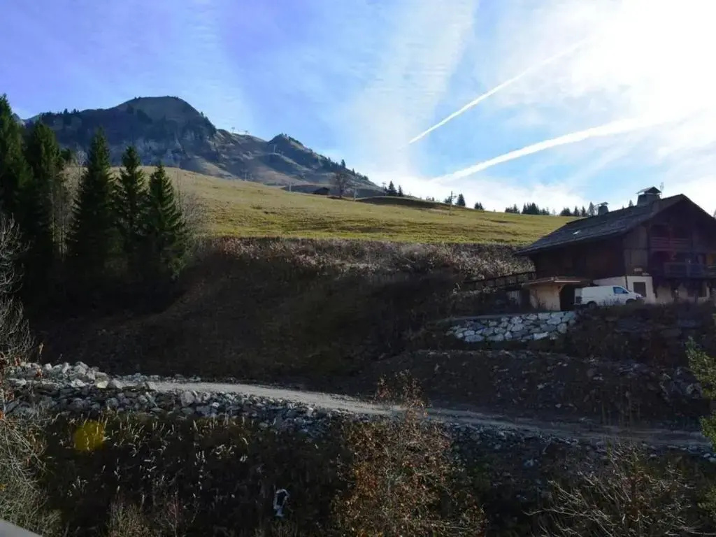 Appartement Le Grand-Bornand, 1 pièce, 4 personnes - FR-1-241-96