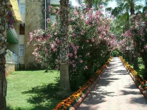 Alanya Cimtur Family House