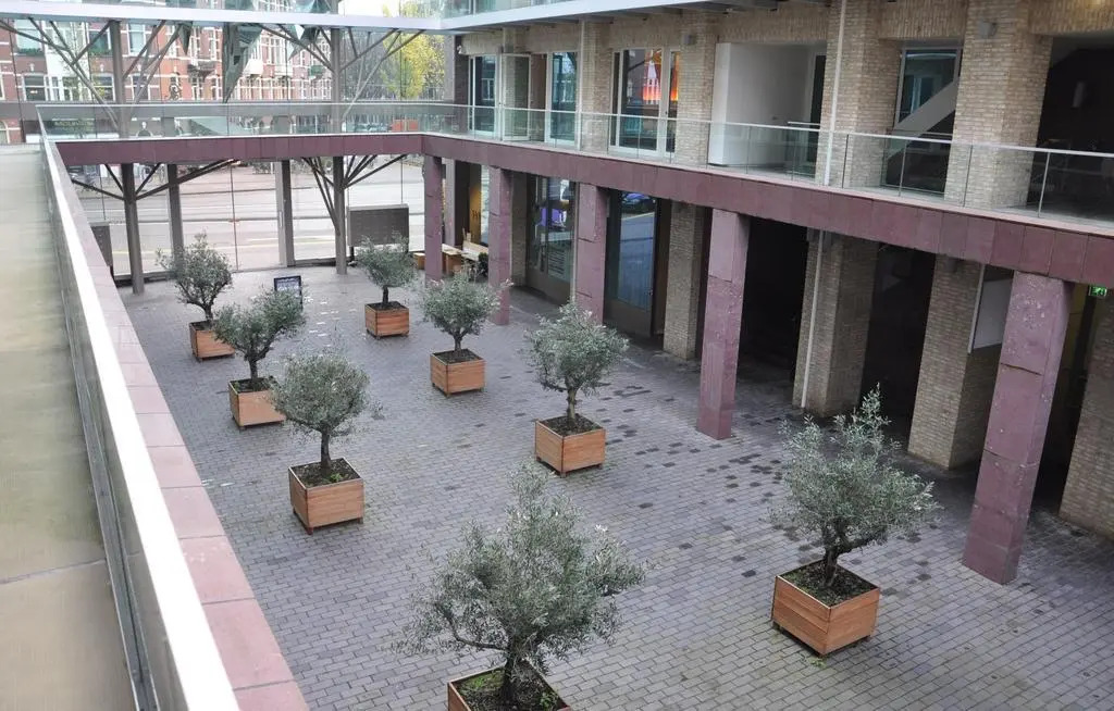 Hotel Mosaic City Centre