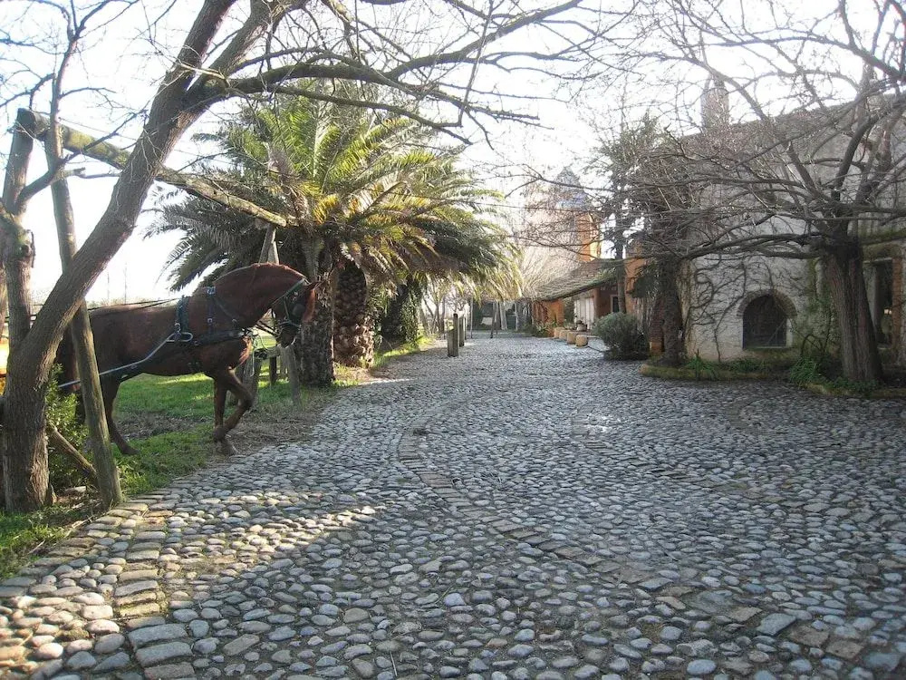 Yeguada Senillosa - Turisme Rural