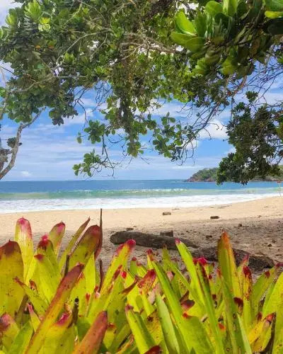 Casa do Jaco