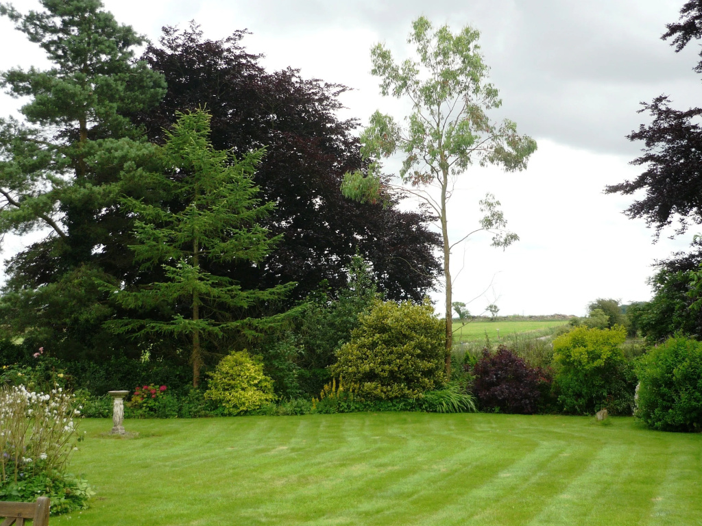 Windylands
