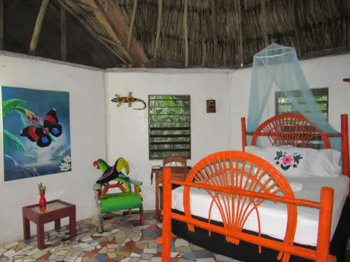 Macaw Bank Jungle Lodge