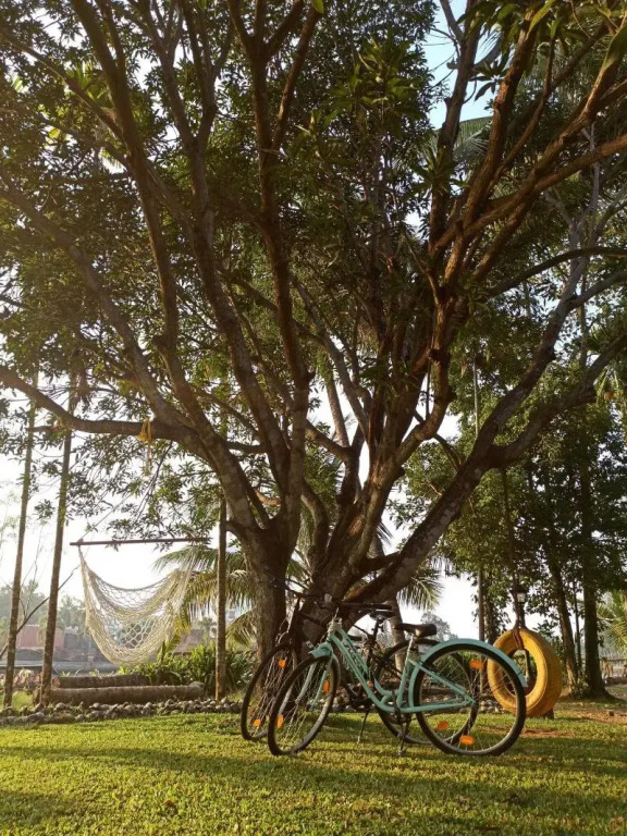 Le Meridien Kochi