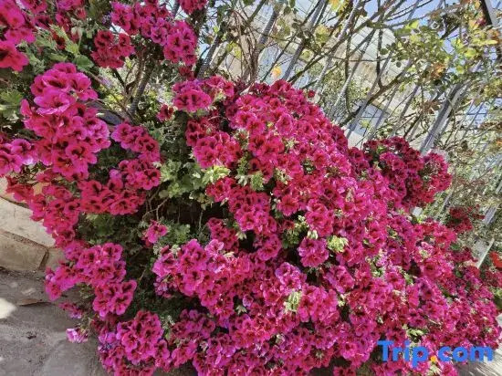 Yunhai Courtyard Cycling Chinese Inn (Kunming Dianchi Haigeng Dam)