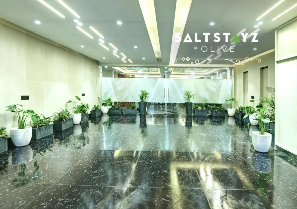 Saltstayz Select - Pitampura