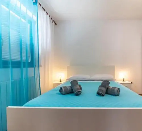 Apartment Viki