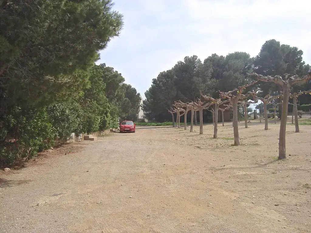 Maisonnette petit jardin barbecue Calafat Tridente 2