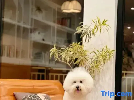 Yishan Yitian Homestay