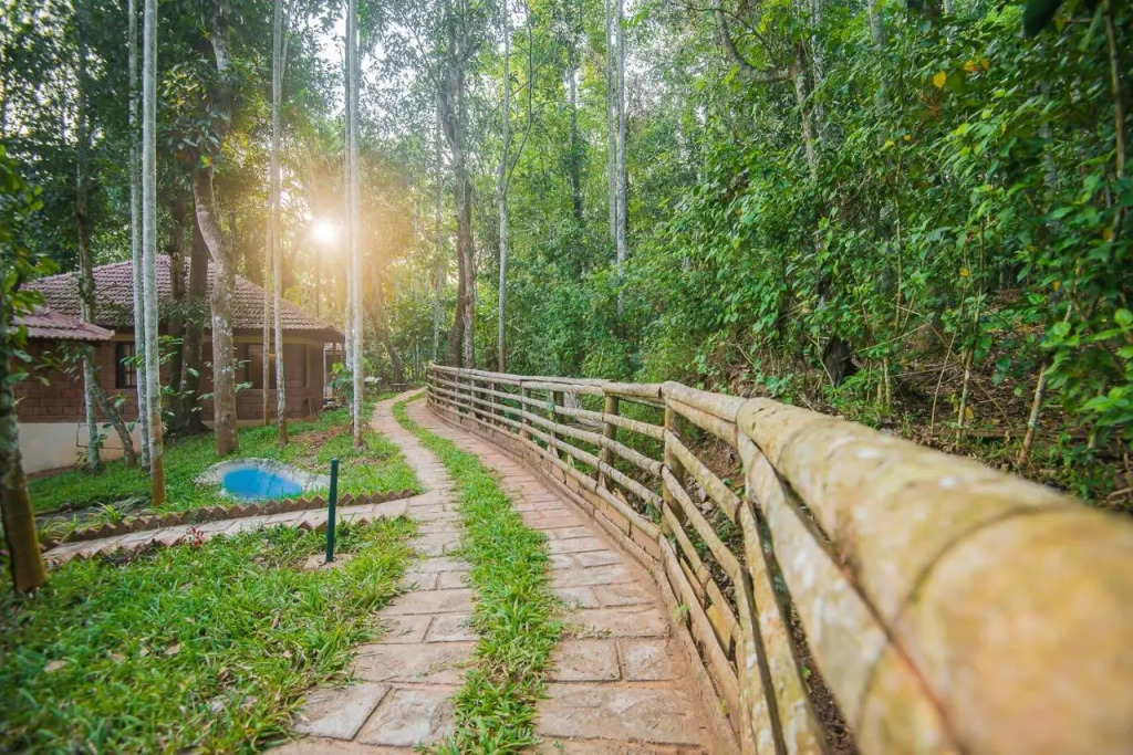 Raindrops Resorts Wayanad