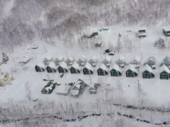 Niseko White Villas I