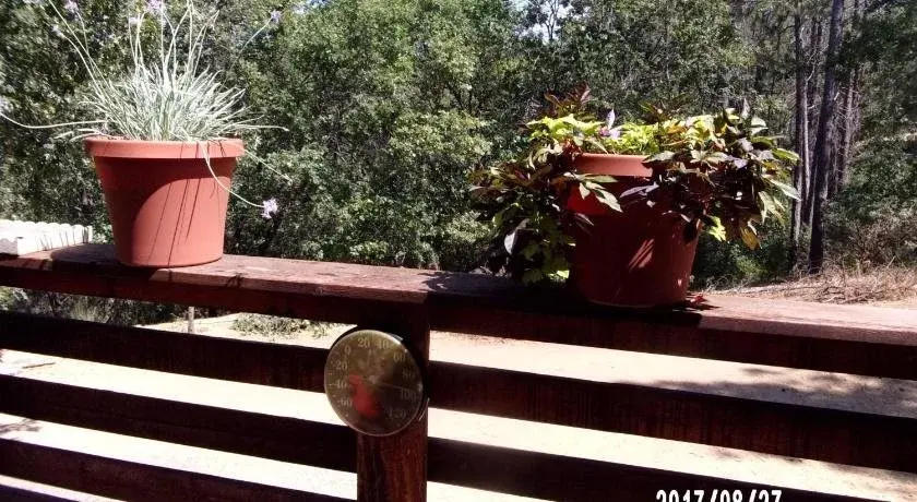 The Cub Inn B&B