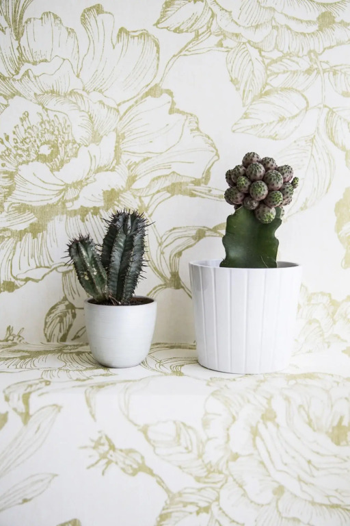 Serendipity Rooms