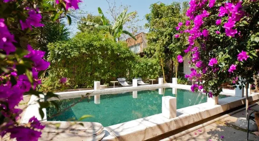 Casa Limón