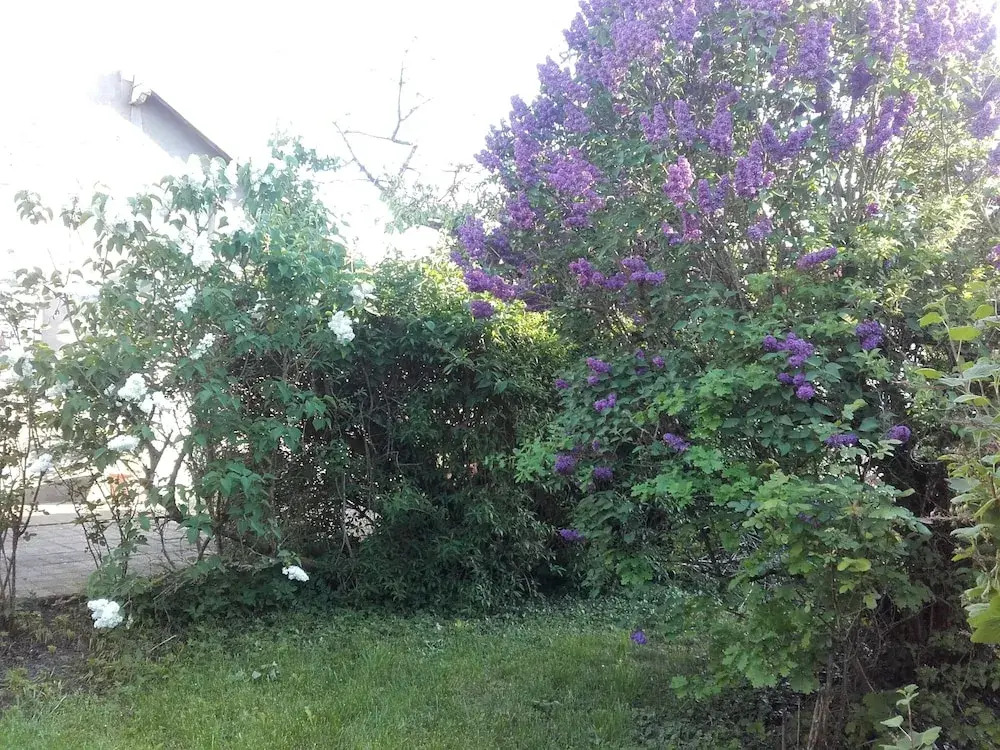 Gîte du lion90 Chambresdulion90