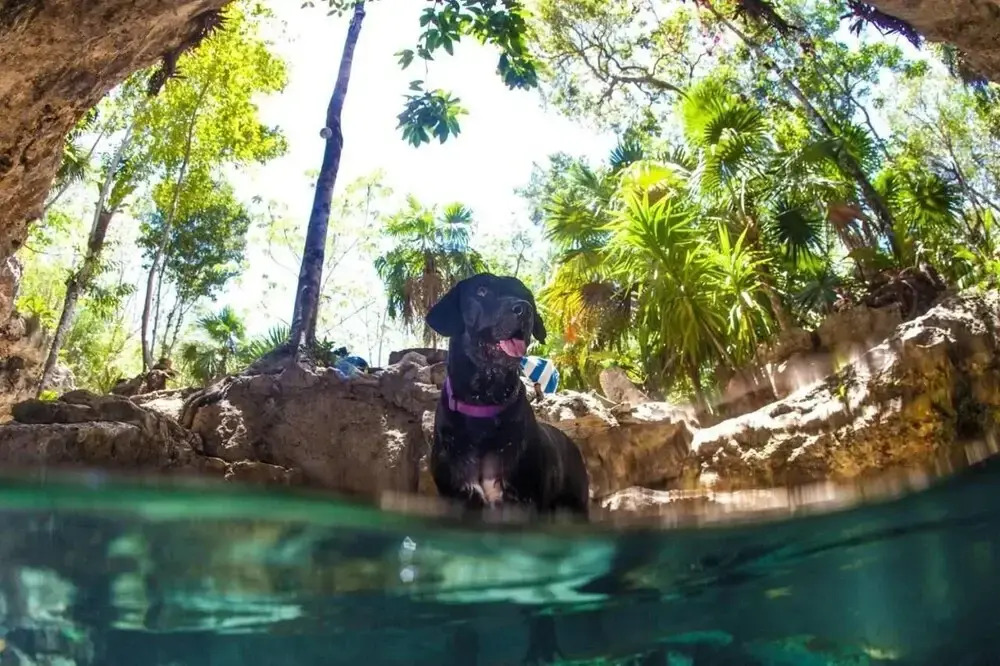 Cenote and Villas BalamHa - Akumal