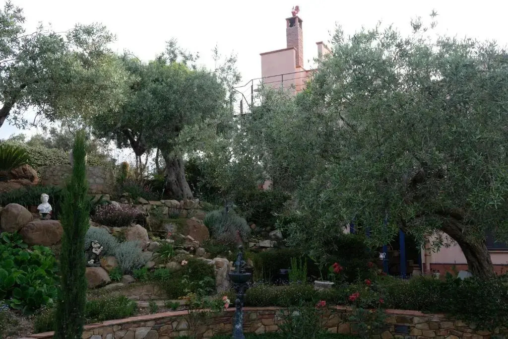 Villarose