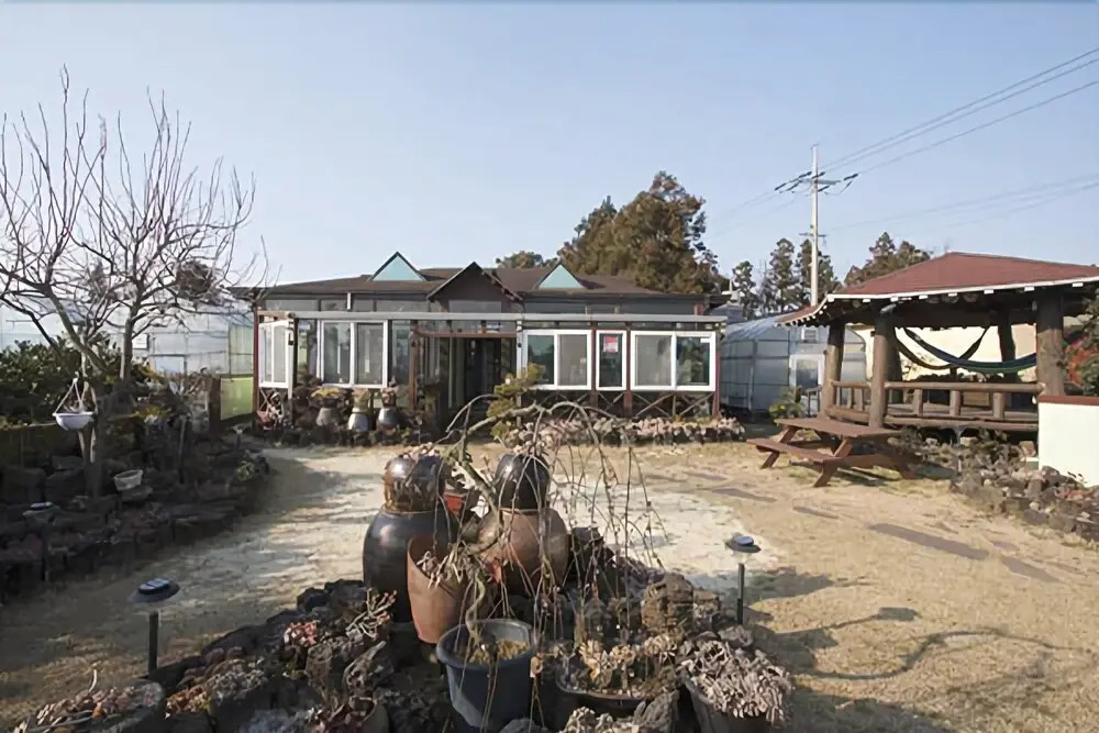 Jeju Tteul Anae Pension
