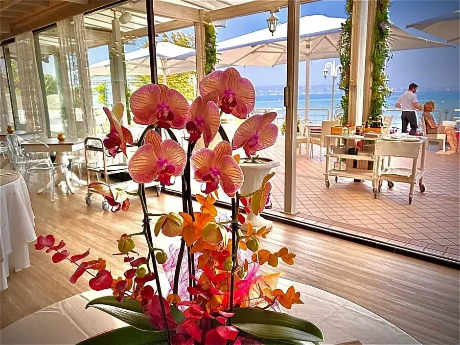 Hotel Aquila DOro Desenzano