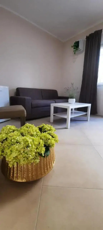 Alimar Suite