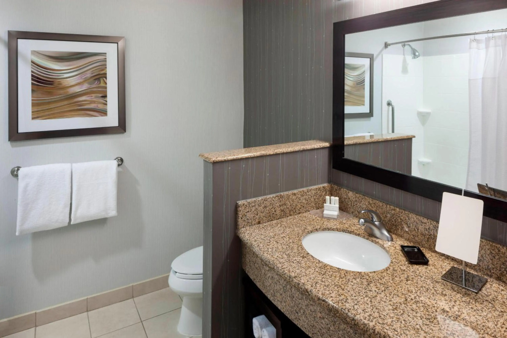 Holiday Inn Express & Suites - Dallas Market Center by IHG