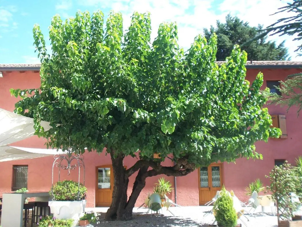 Agriturismo Al Casale