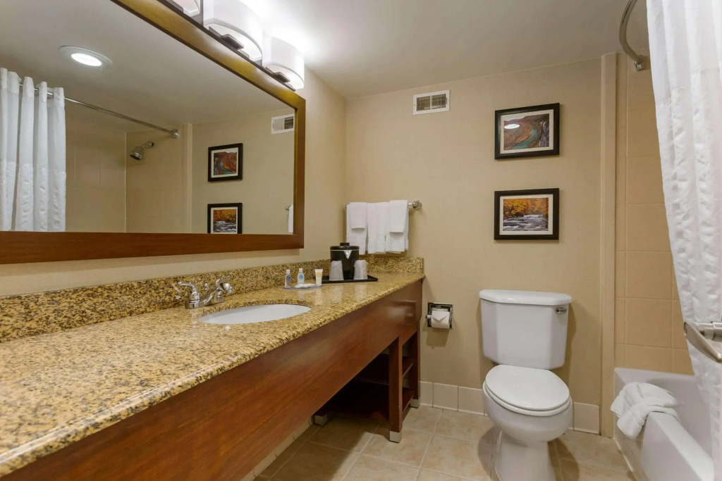 Comfort Inn & Suites Presidential
