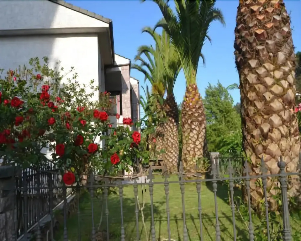 Apartamentos Las Palmeras