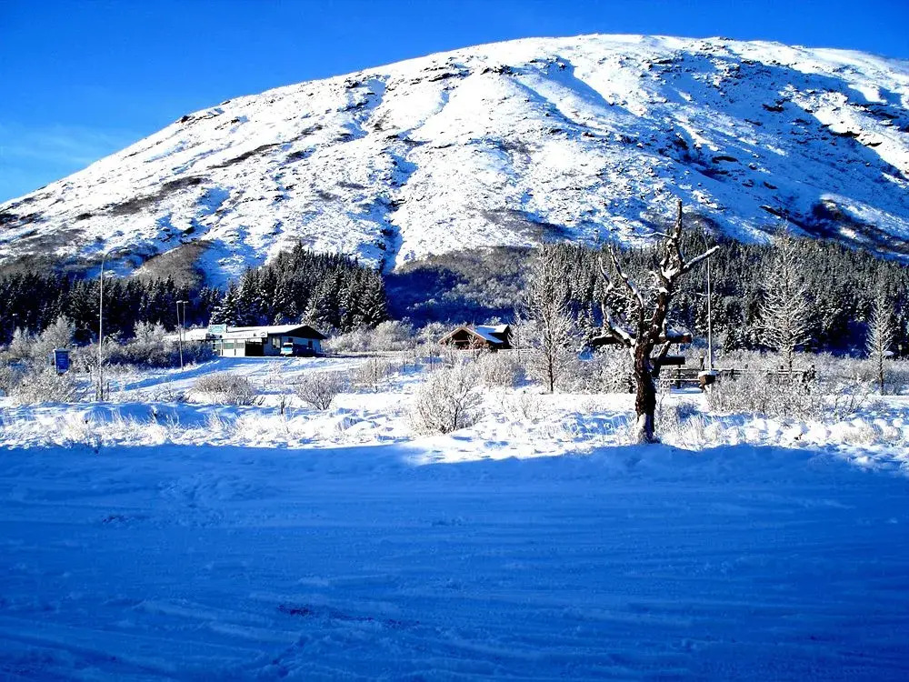 Galleri Laugarvatn