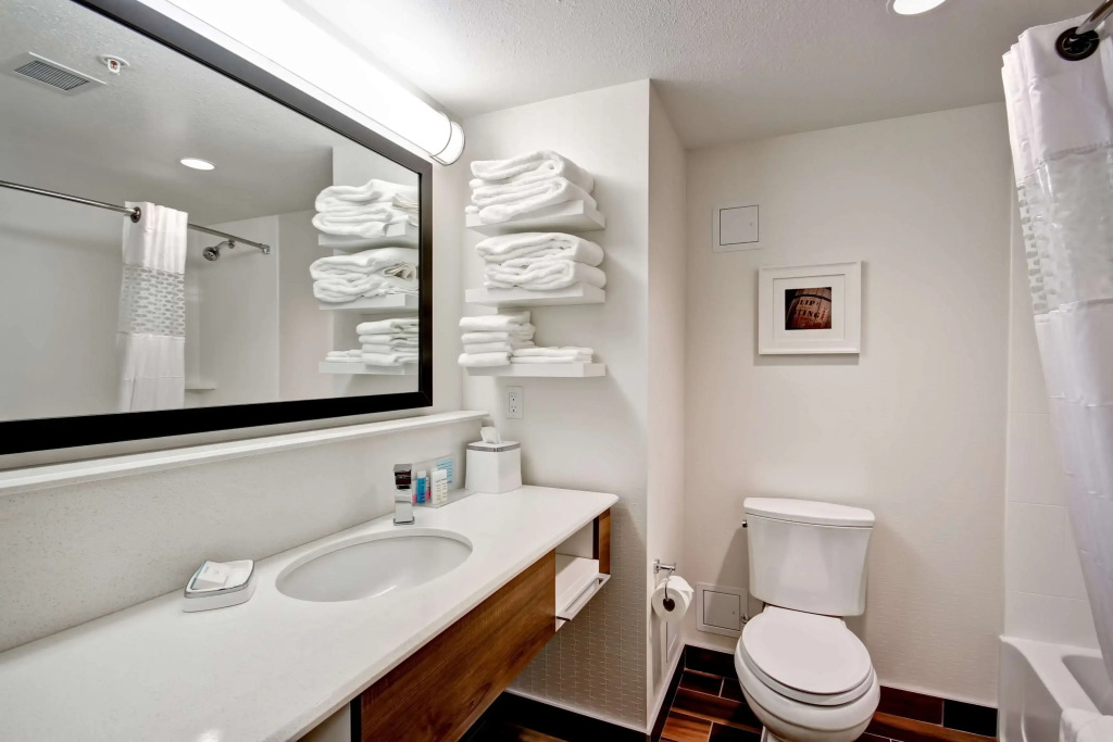 Hampton Inn & Suites - Medicine Hat