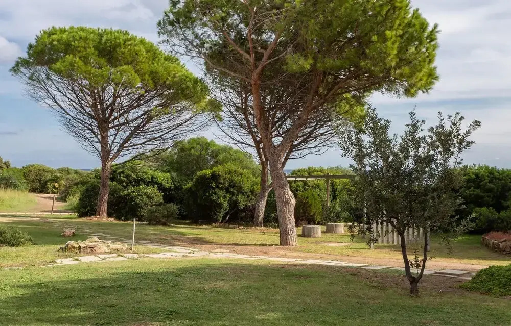 Villa 6