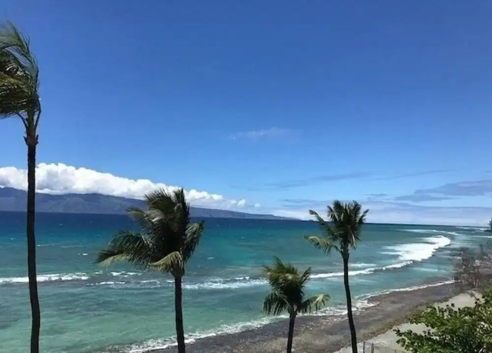 Moana Nui - Paki Maui 411