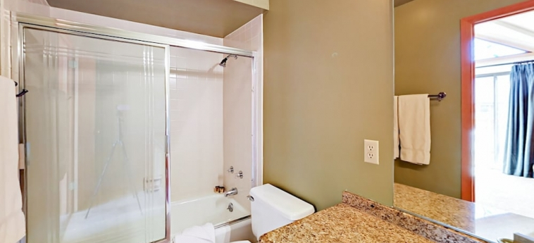 2441 Gilt Edge Circle Townhouse