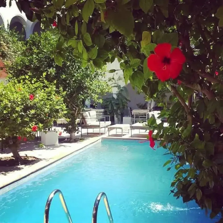 hotel arisha