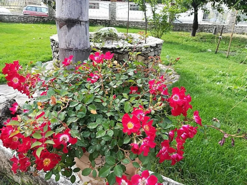 B&B Il Giardino Delle Meraviglie