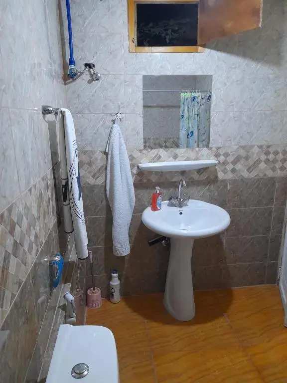 mini house