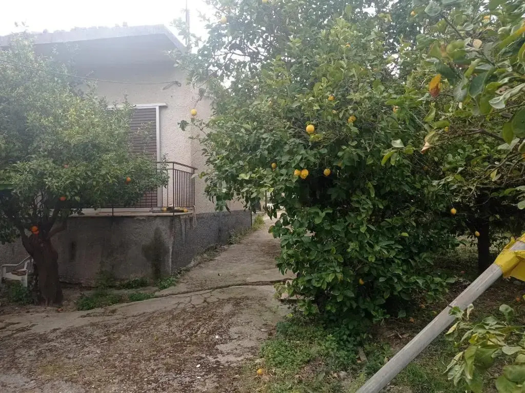 Skoupeikon