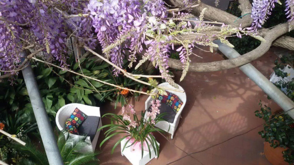 Hotel Stipino