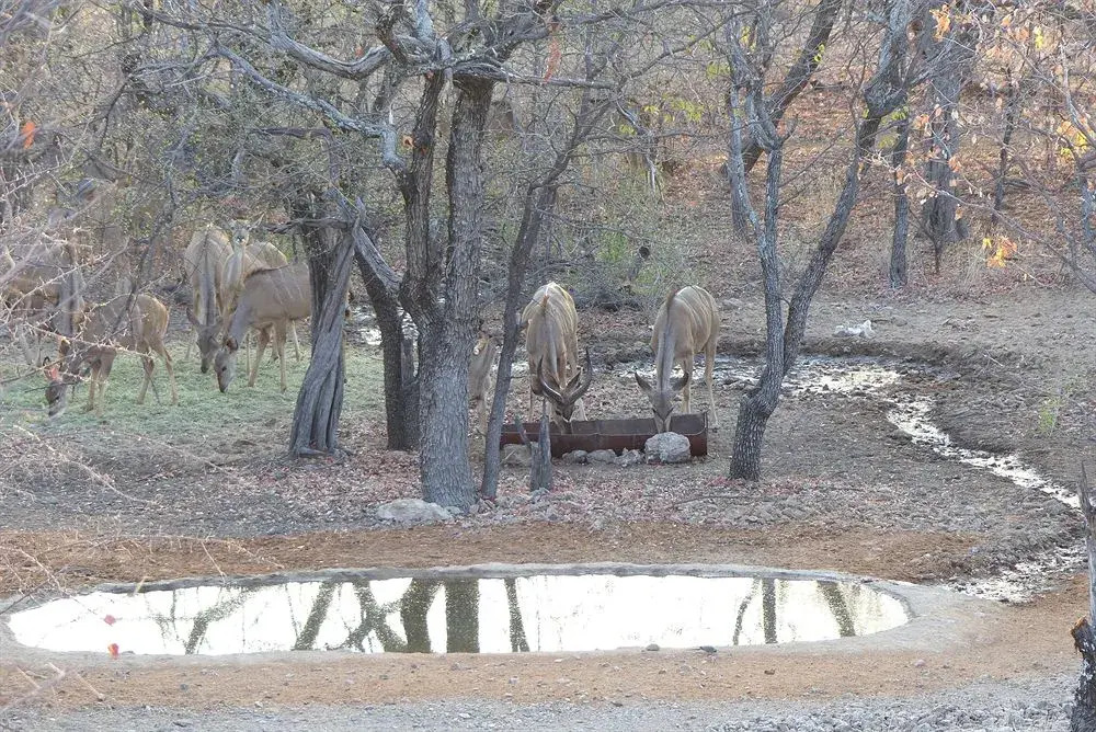 Uukwaluudhi Safari Lodge