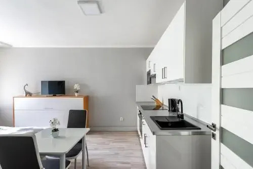 City apartment Slezská