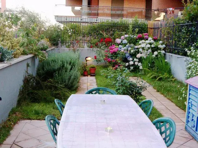 Airport Roof Garden