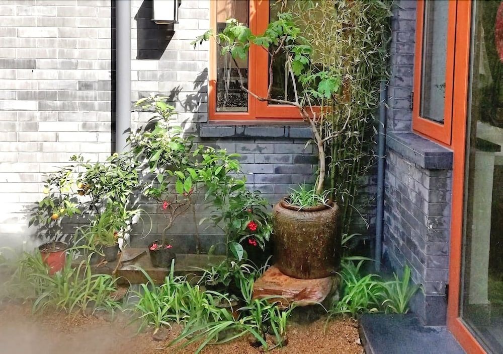 Habitat Quadrangle - Yu Ge Hutong