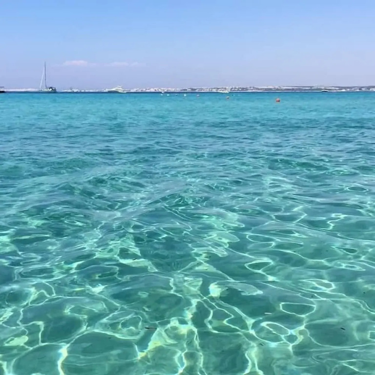 Eccelsoleccese